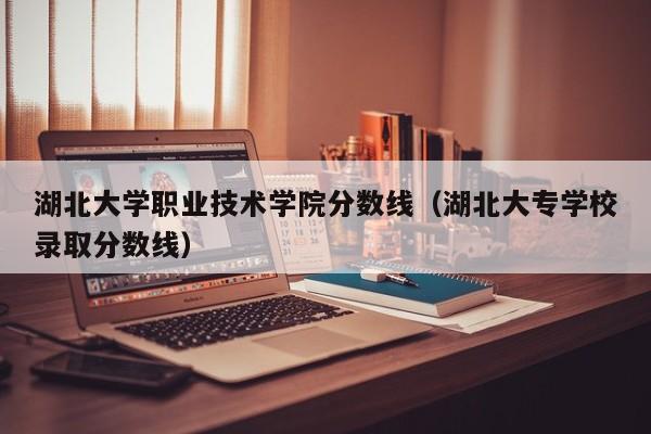 湖北大学职业技术学院分数线（湖北大专学校录取分数线）