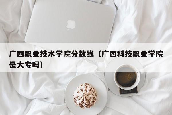 广西职业技术学院分数线（广西科技职业学院是大专吗）