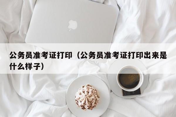 公务员准考证打印（公务员准考证打印出来是什么样子）