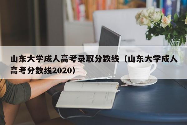 山东大学成人高考录取分数线（山东大学成人高考分数线2020）