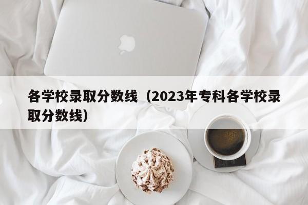 各学校录取分数线（2023年专科各学校录取分数线）