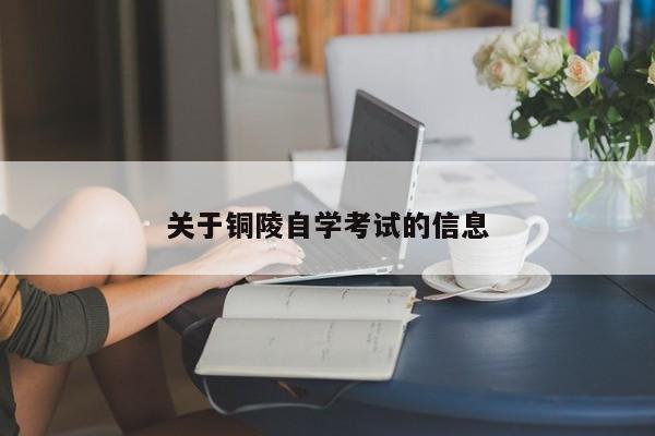 关于铜陵自学考试的信息