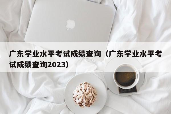 广东学业水平考试成绩查询（广东学业水平考试成绩查询2023）