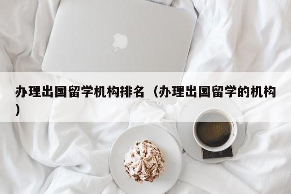 办理出国留学机构排名（办理出国留学的机构）