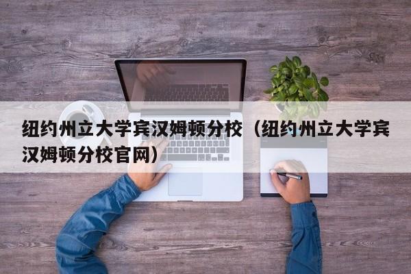 纽约州立大学宾汉姆顿分校（纽约州立大学宾汉姆顿分校官网）